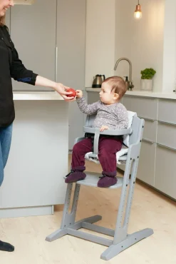 BabyDan Danstolen Højstol inkl Bøjle & Rem, Grå