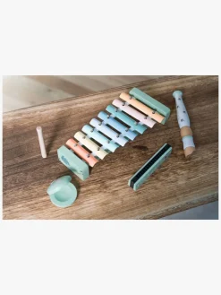 Dantoy Motorisk Legetøj*Musiksæt Wooden In Gift Box