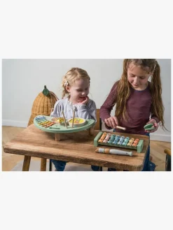 Dantoy Motorisk Legetøj*Musiksæt Wooden In Gift Box