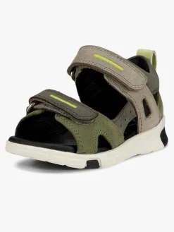 Børn Ecco Mini Stride Sandaler, Sage