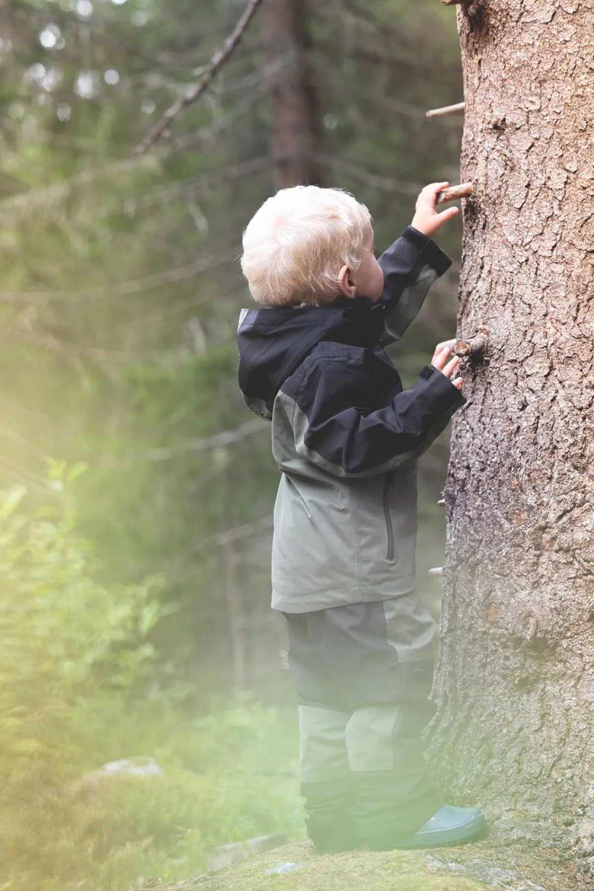 Børn Lindberg Overtøj>Explorer Skaljakke, Grøn