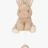 LittleDutch Little Dutch Baby Bunny Spilledåse