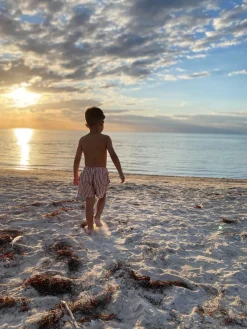 Børn Nordbjrn Nordbjørn Solarino Badebukser, Brown Stripe