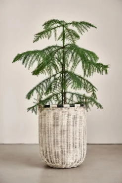 Børn OYOY Boo Opbevaringskurv Høj, Natur