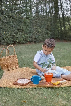 PlanToys Udelegetøj*Plan Toys Havesæt