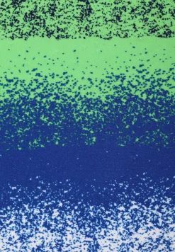 Børn Reima Azores Badetrøje, Blue