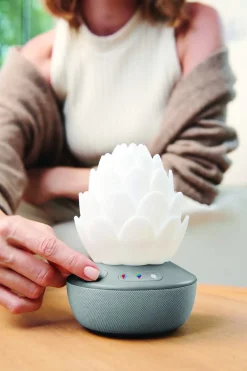 Børn SkipHop Lamper & Belysning>Sukkulent Natlampe med Grædesensor