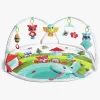 TinyLove Tiny Love Dynamic Gymini Aktivitetscenter, Meadow Days