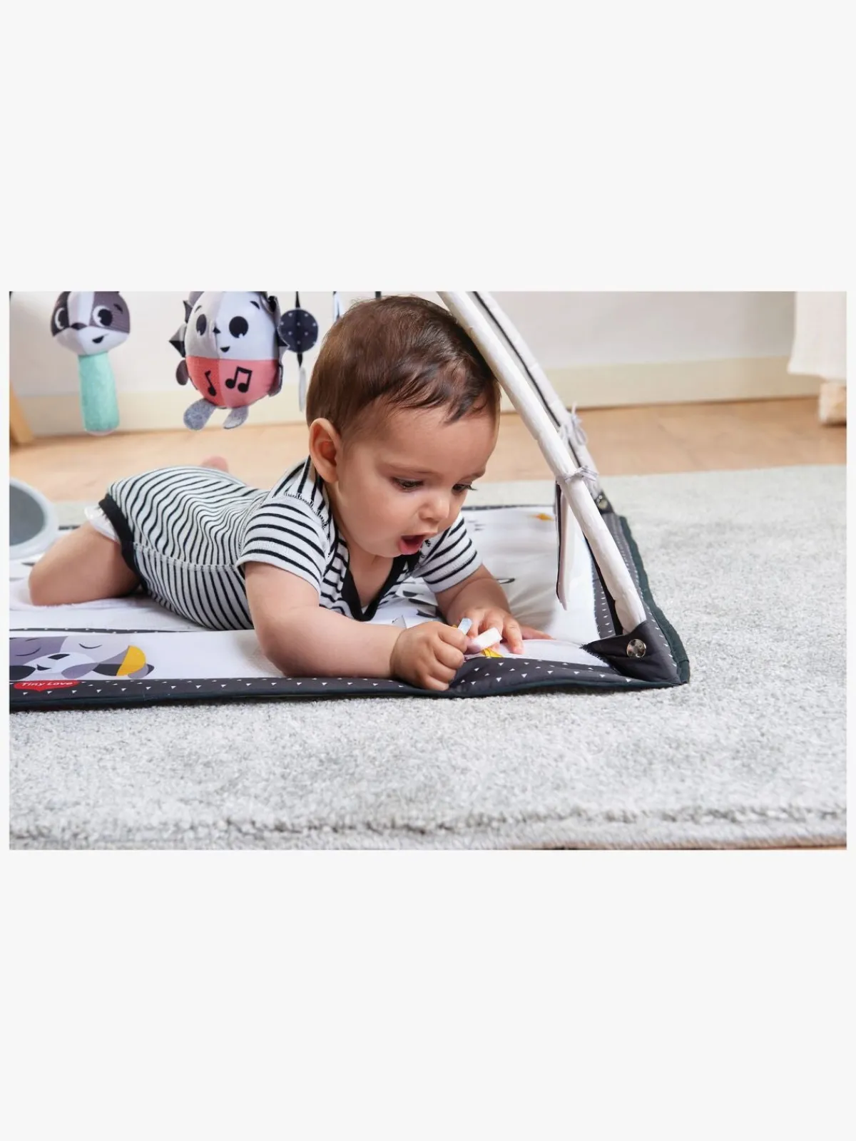 TinyLove Tiny Love Gymini Magical Tales Aktivitetscenter, Multi