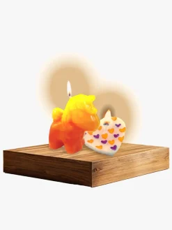 ToyRock Eksperimenter & Videnskab*STEM Lysfabrik