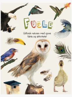 GlobeForlaget Ud i naturen - Fugle