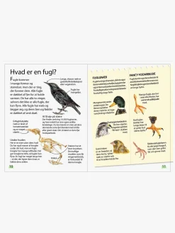 GlobeForlaget Ud i naturen - Fugle